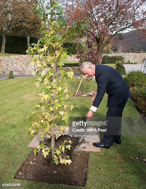 Prince Charles, Prince of Wales plants a tree as he visits the Aberfan Memorial Garden and meets villagers as they mark the 50th Anniversary of the...