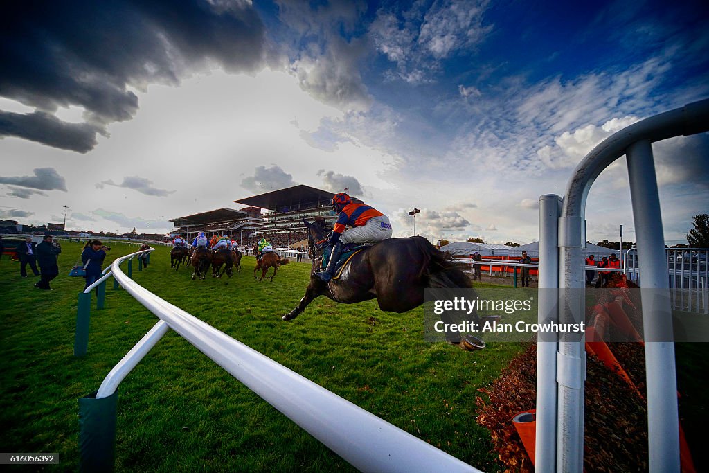 Cheltenham Races