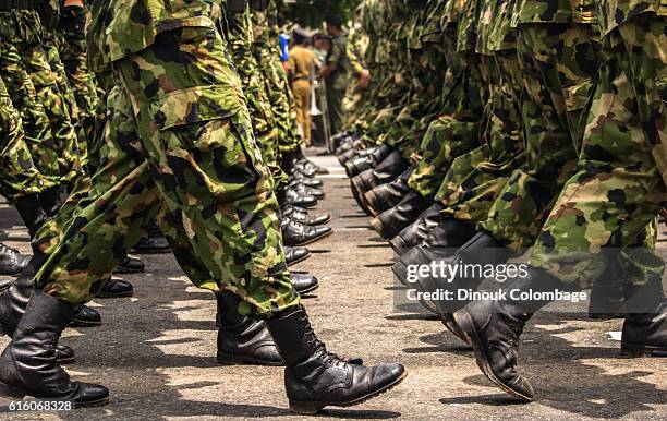 in a line - militärparade stock-fotos und bilder