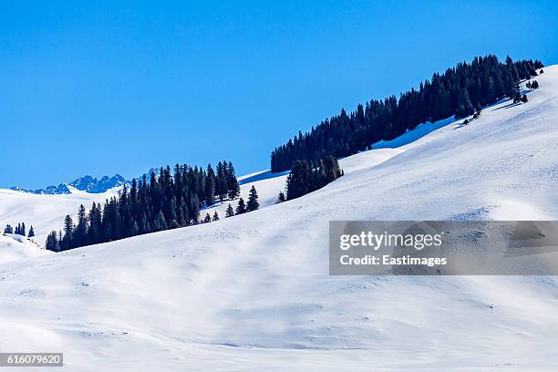 tianshan mountain view in winter,xinjiang,china. - steep stock pictures, royalty-free photos & images