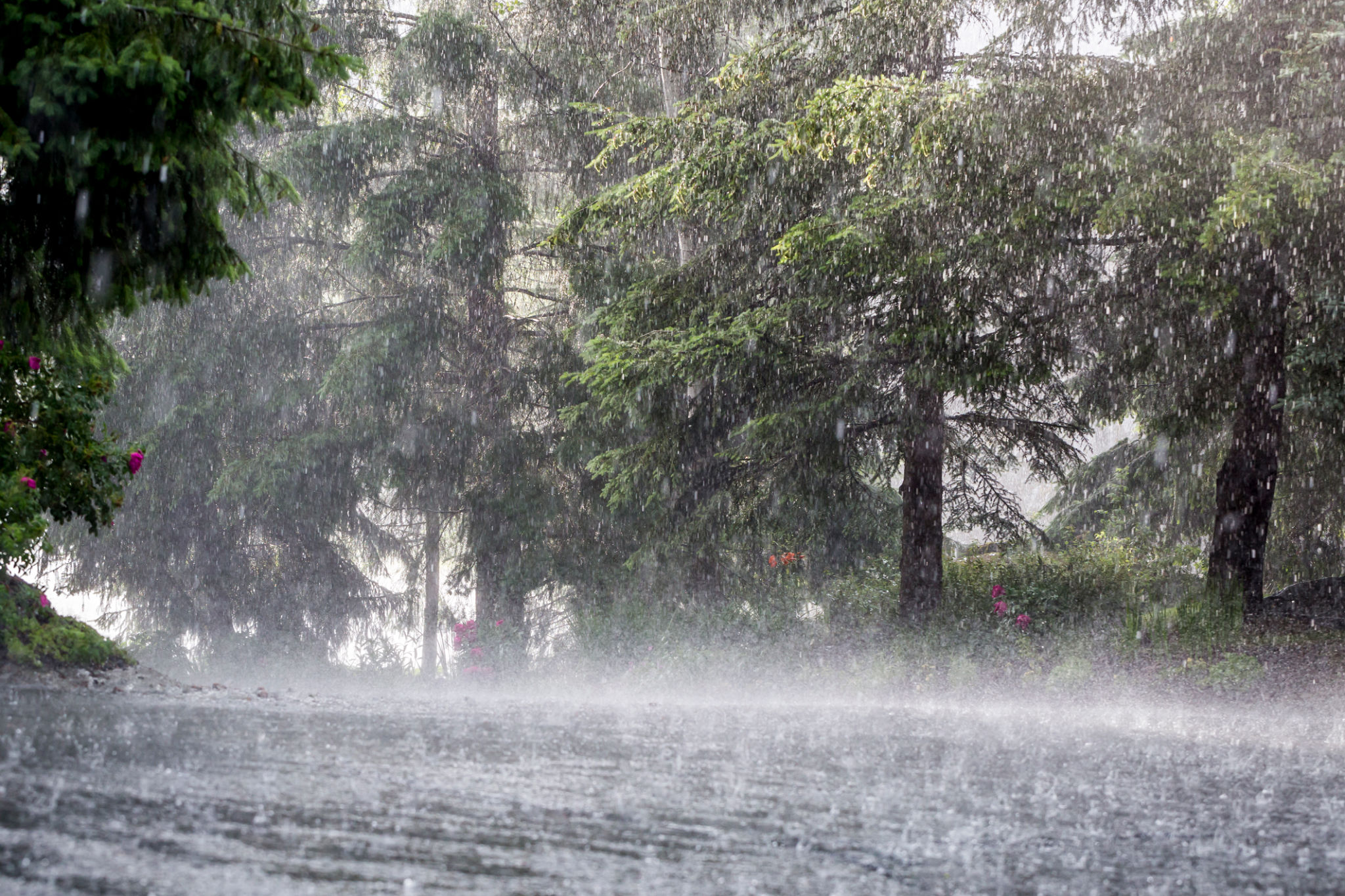 rainy weather driveway