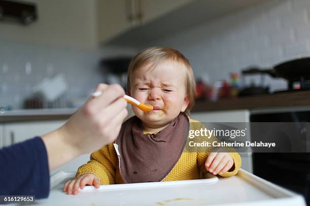 a mum feeding her baby girl - baby feeding fotografías e imágenes de stock