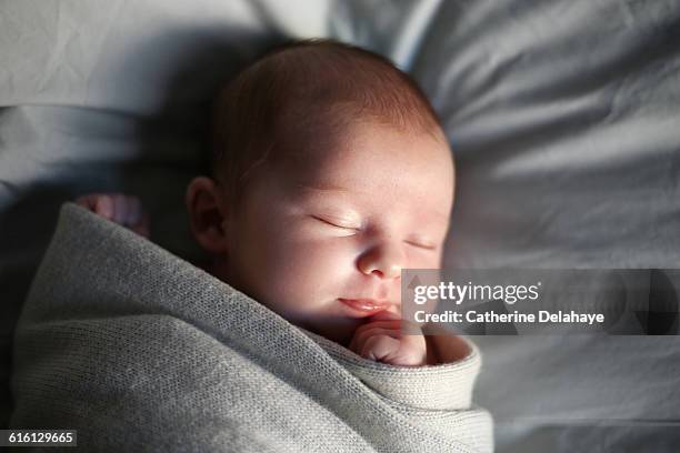 a new born baby girl sleeping - supino foto e immagini stock