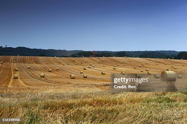 bales of wheat on a large agricultural plain - mecklenburg vorpommern imagens e fotografias de stock