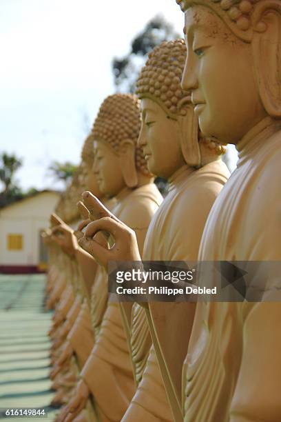 amitabha buddha statues in row, each statue is a buddha, a monk who has attained the state of complete enlightenment and peace mind, chen tien buddhist temple, foz do iguaçu, paraná state, brazil - foz do iguacu stock-fotos und bilder