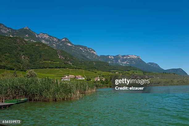 Shell Caldaro Lago Di Caldaro Photos and Premium High Res Pictures - Getty Images