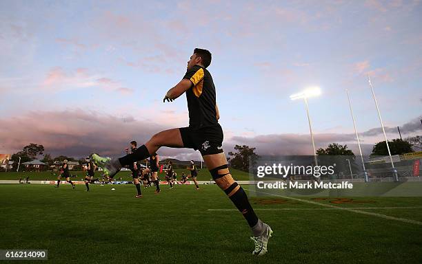 Eagles players warm up before the 2016 NRC Grand Final match between the NSW Country Eagles and Perth Spirit at Scully Park on October 22, 2016 in...