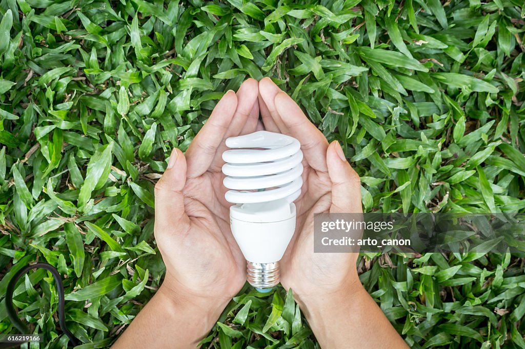 Light bulb in hand with energy saving eco lamp