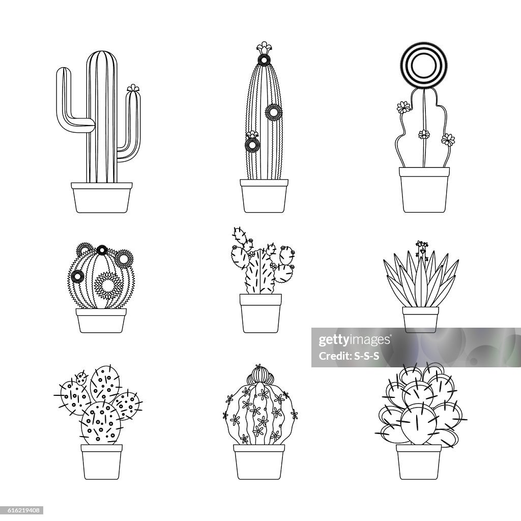 Cactus thin line icon set