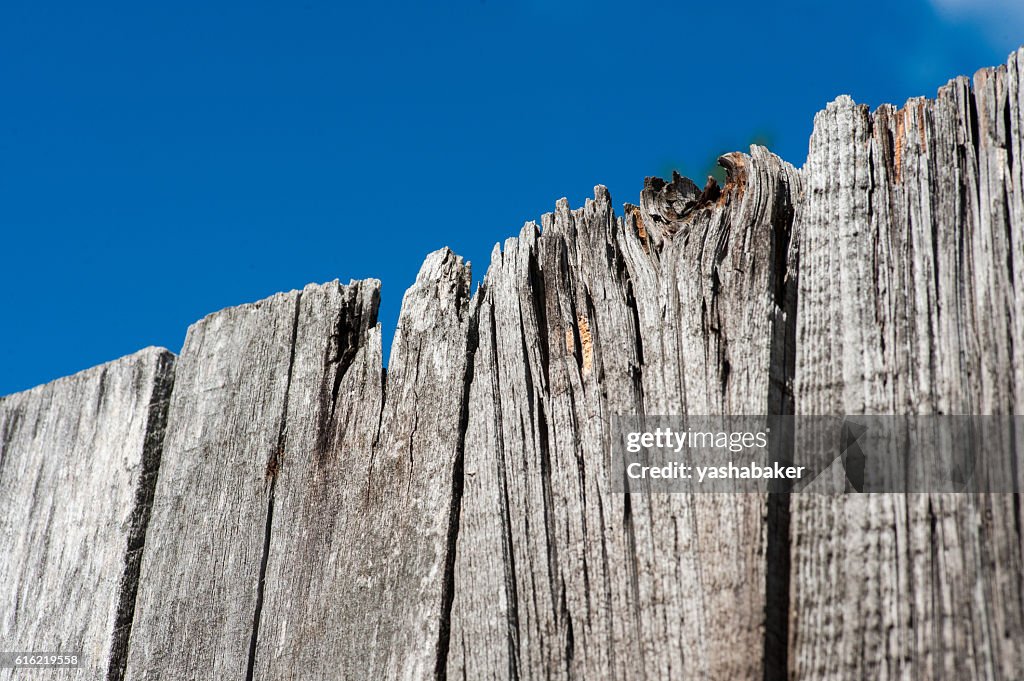 Grey wood  old planks texture  with sky