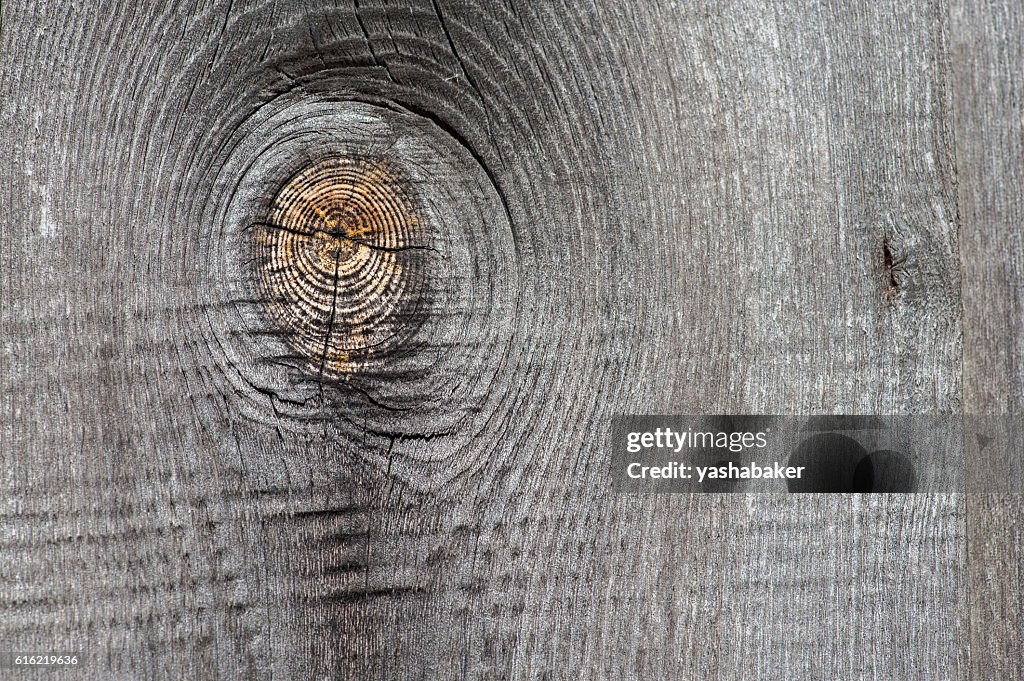 Close-up of grey wood  old planks texture background