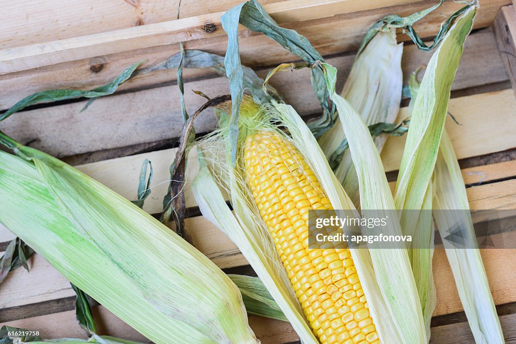 Top view of cob corn on the wooden background