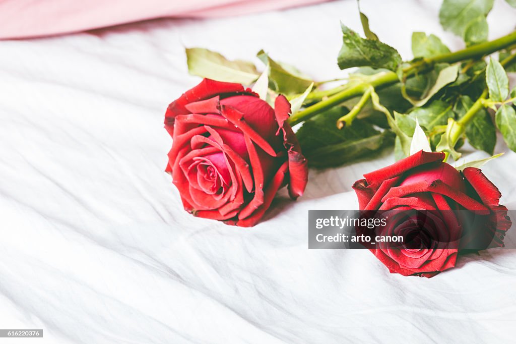 Roses rouges sur fond de lit