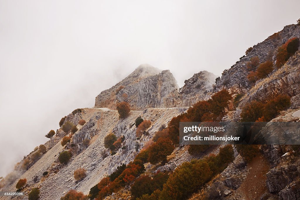 Fog mountain slope