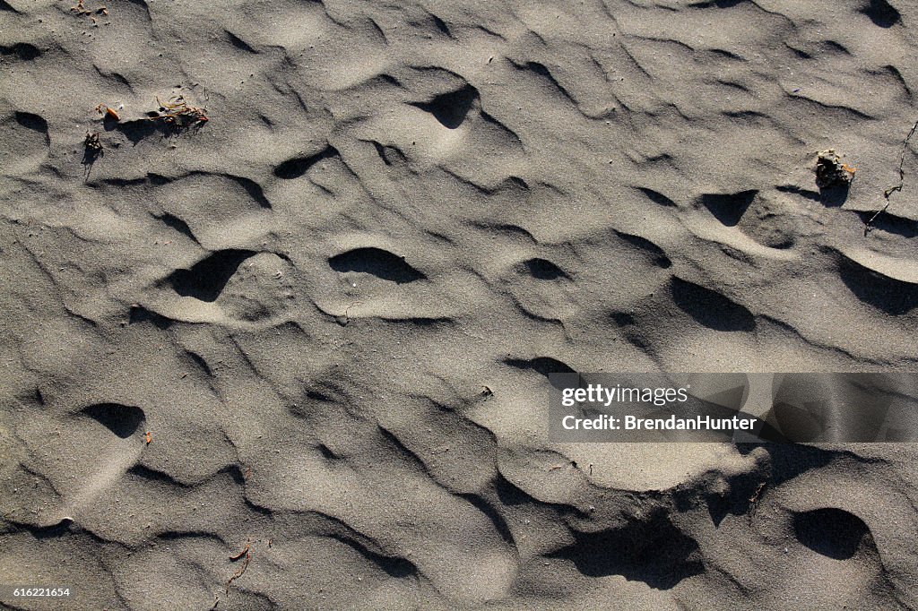 Dray Tofino Sands