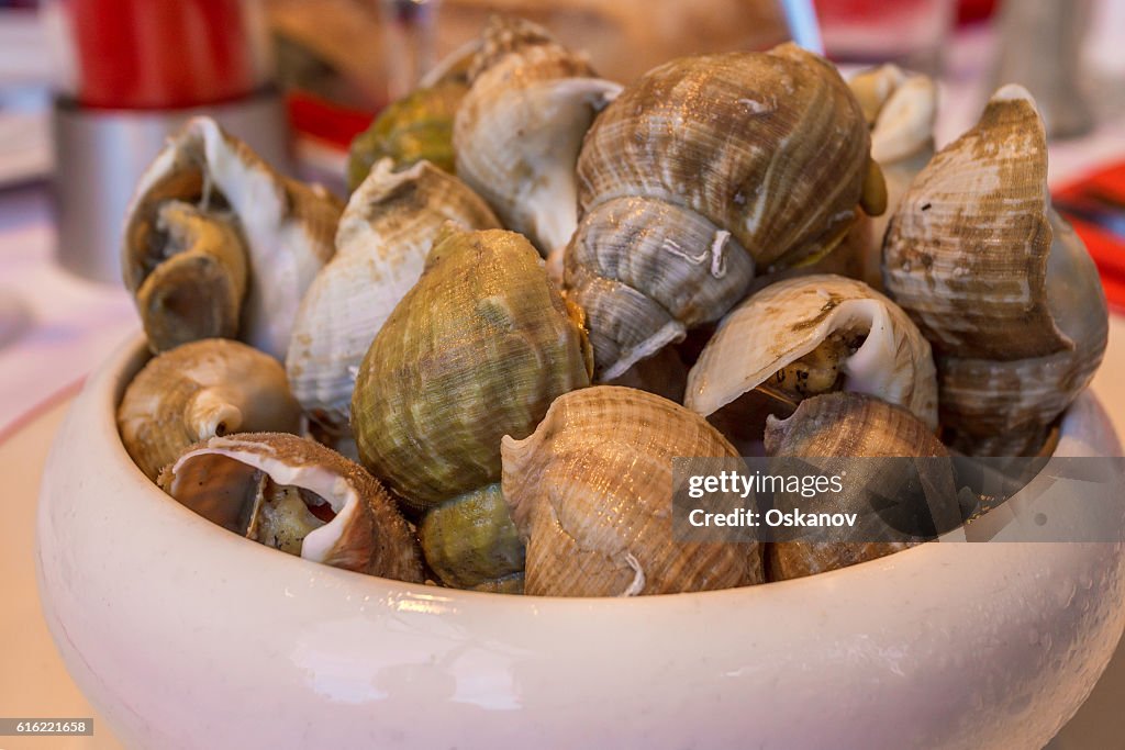 Closeup clams in dish