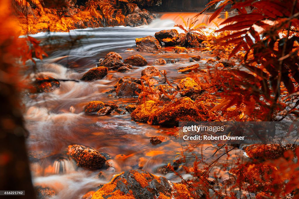 Newell Creek in Tasmania