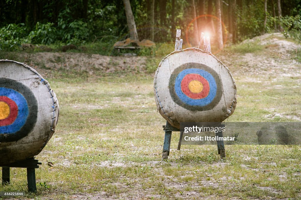 Archery target on the field,light and flare effect added