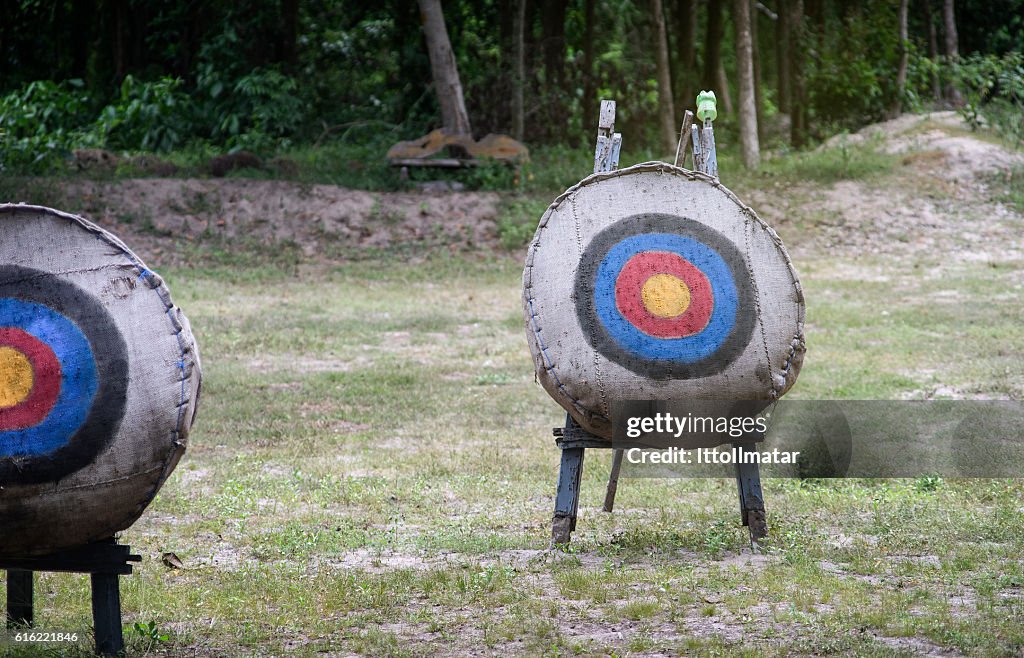 Archery target on the field,light and flare effect added