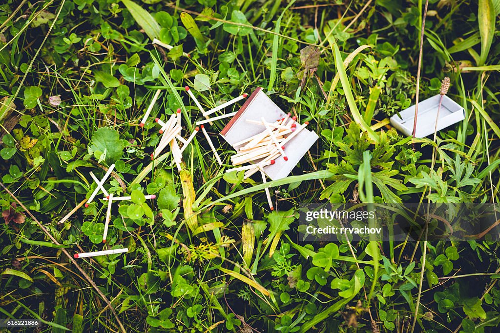 Destroyed box of matches on the green grass.