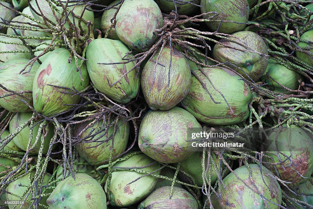 Schließen Sie eine Gruppe von grünen Kokosnüssen