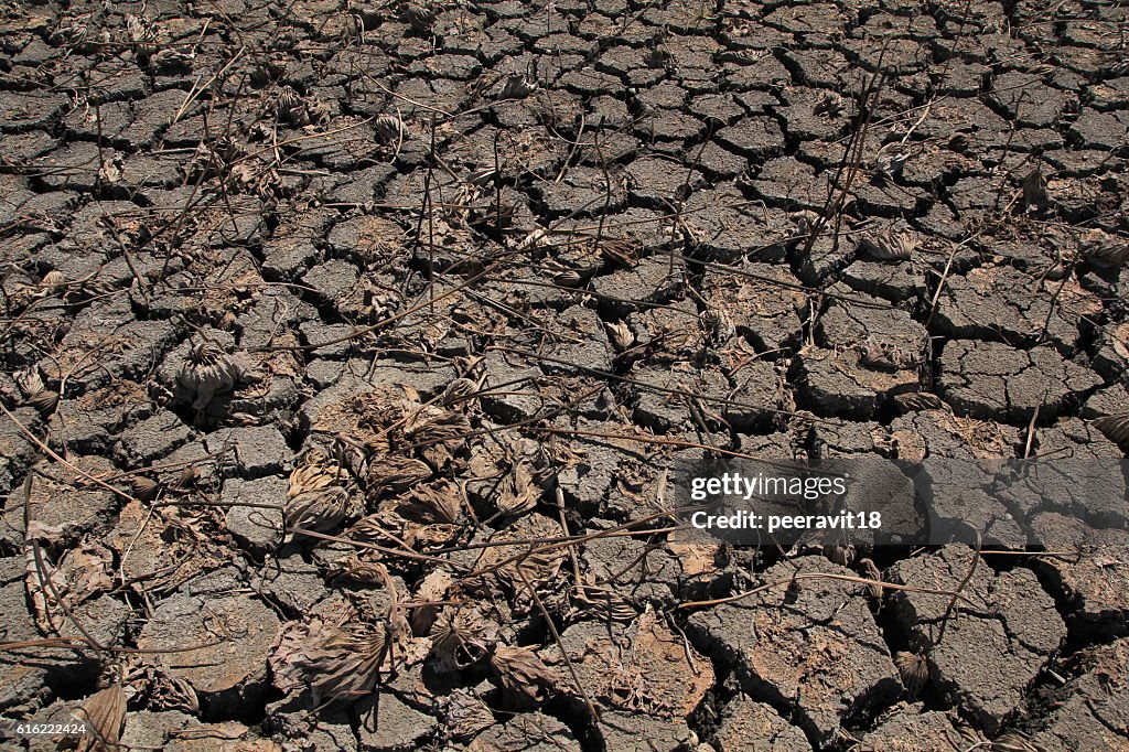 Dry Ground Texture, Drought, the ground cracks, no hot water