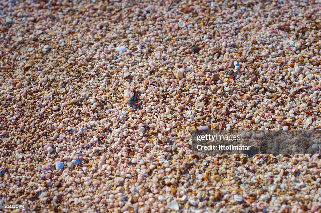 Broken small corals, scrap of sea shell on the sand