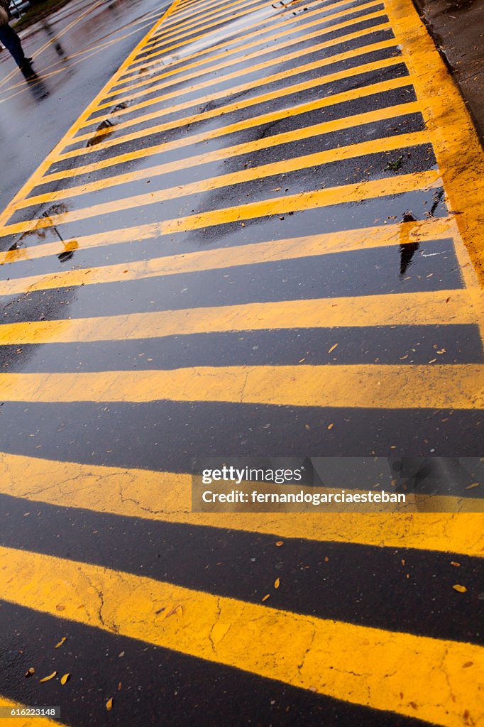 Yellow lines