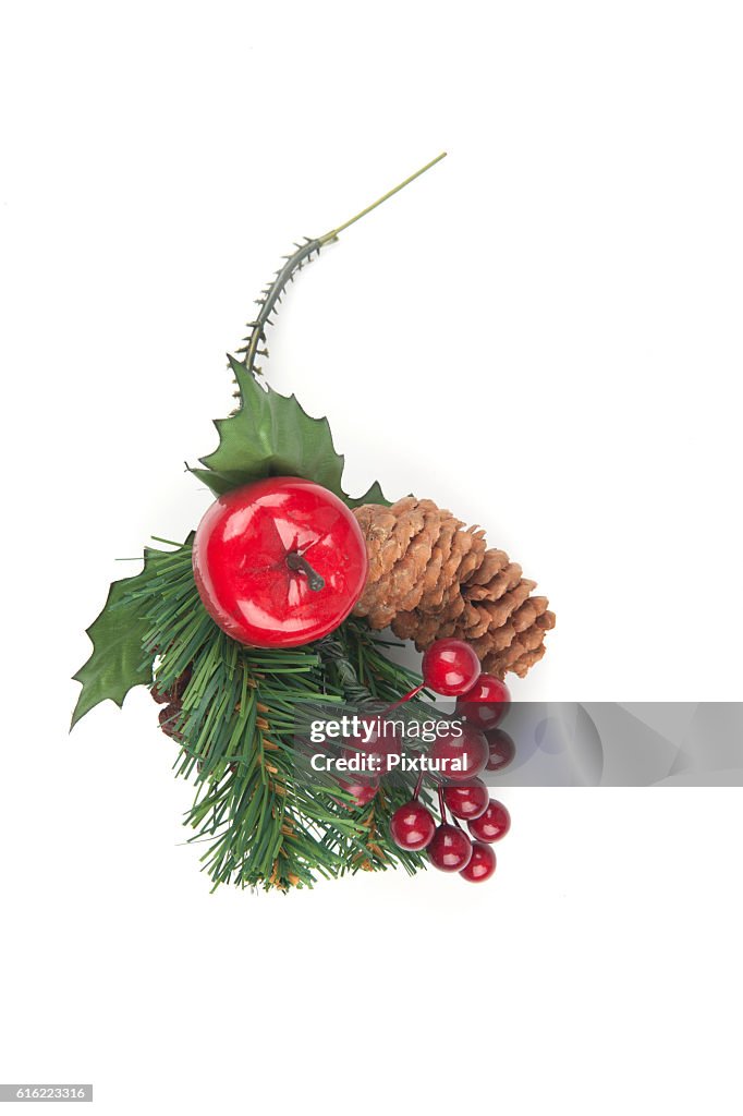 スプルースの枝、クリスマスの装飾に偽のスプルースコーン。