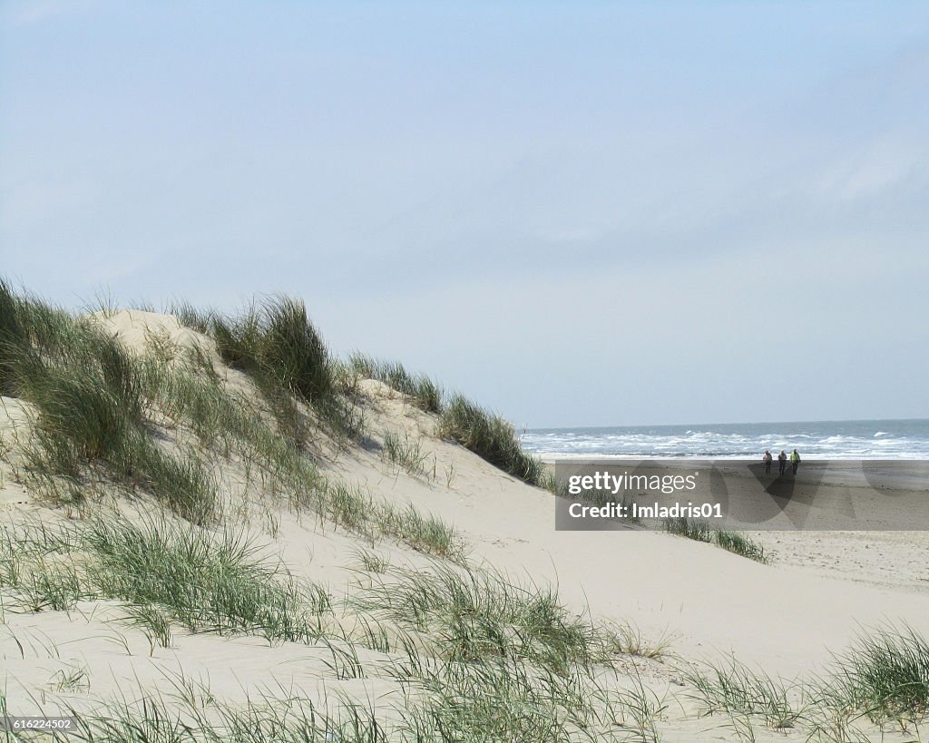 Sand Dunes Belgian Coast