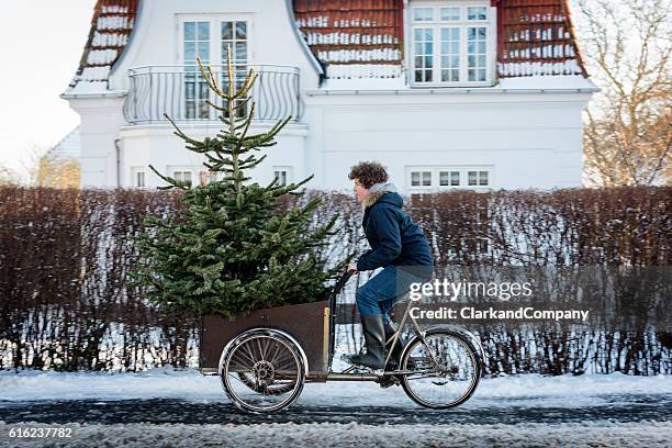 is this christmas tree big enough? - christmas bike stock pictures, royalty-free photos & images