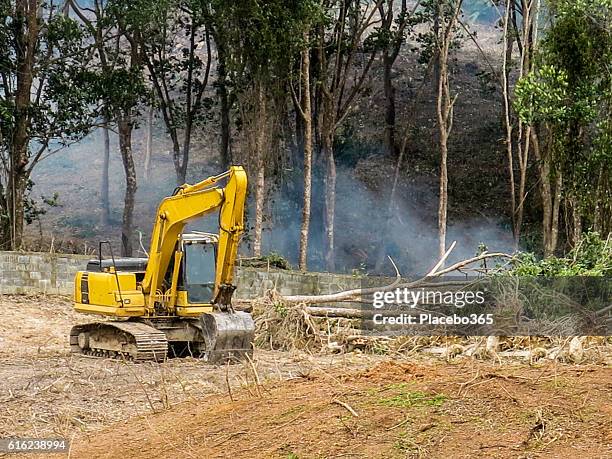 habitat loss rainforest deforestation digger fire forest clearing - land clearing stock pictures, royalty-free photos & images