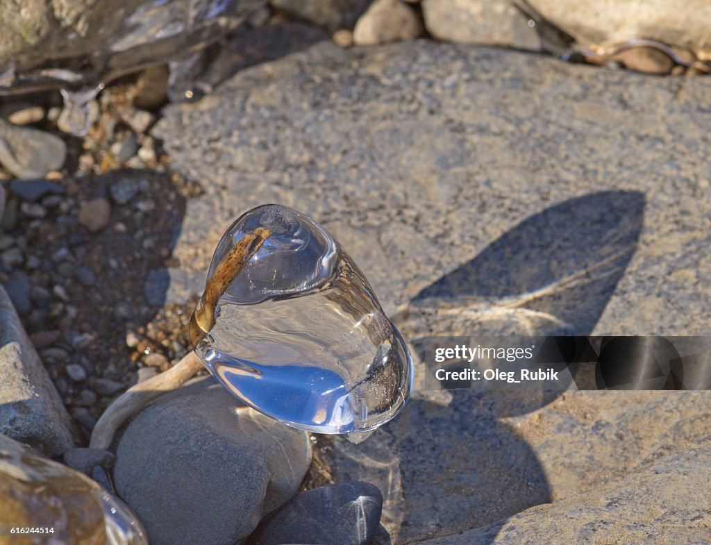 Ice natural sculpture