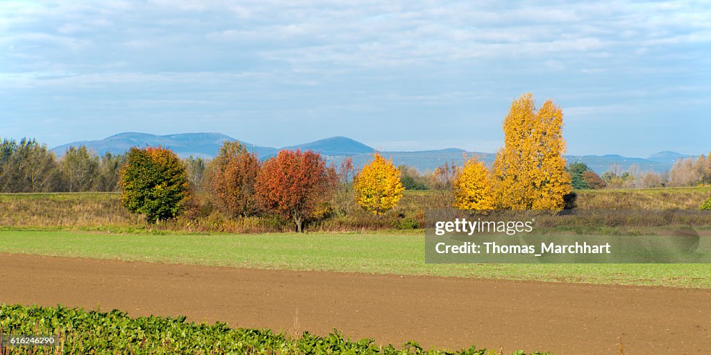 Autumn Colours