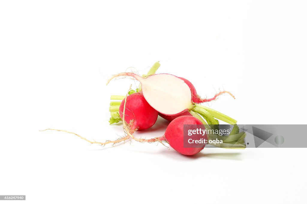 Small red radish