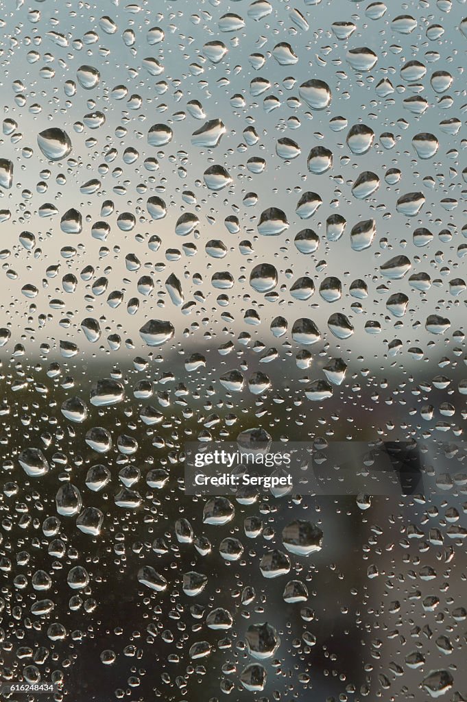 Drops of rain on the window