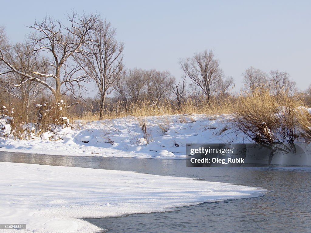 Small river in the winter