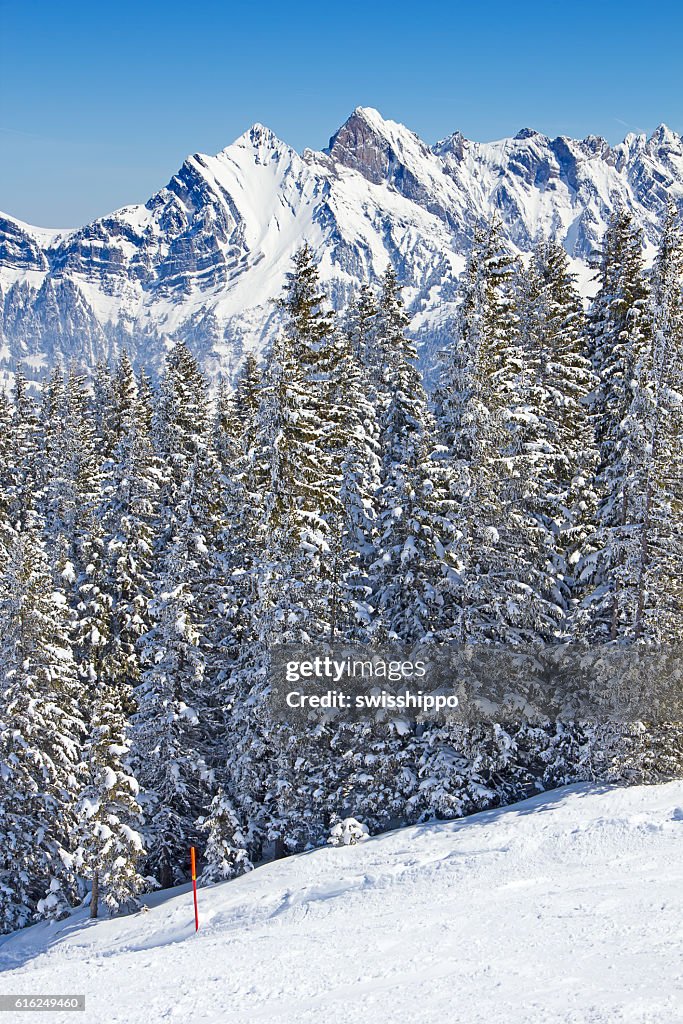 Winter in alps