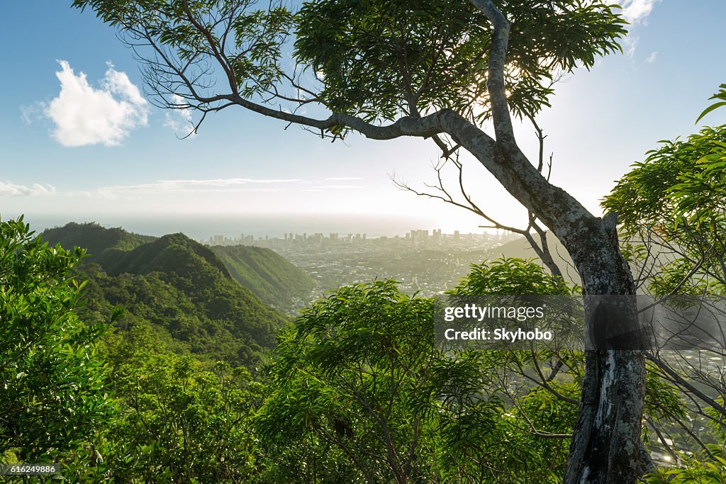 Above Honolulu on Wa'ahila Ridge