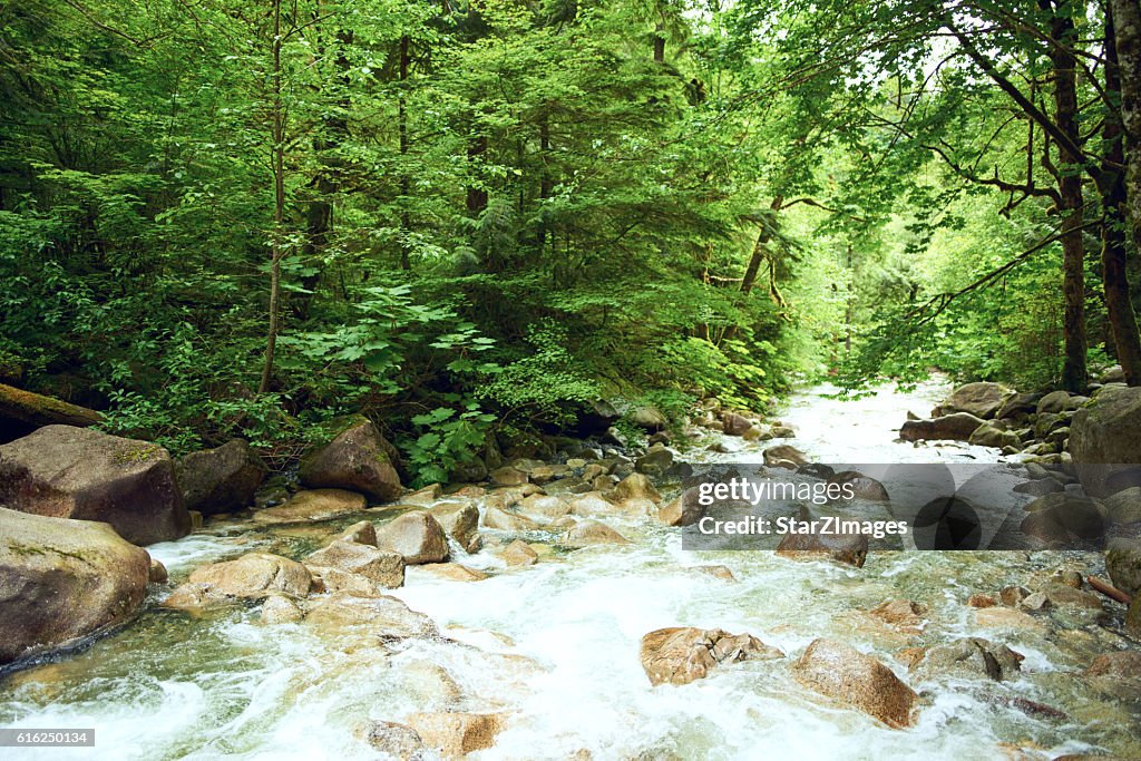 Beautiful nature with mountain