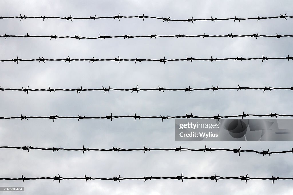 Fence with barbed wire