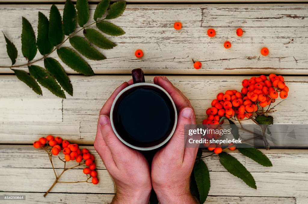 Tea, cup, hands, rowan
