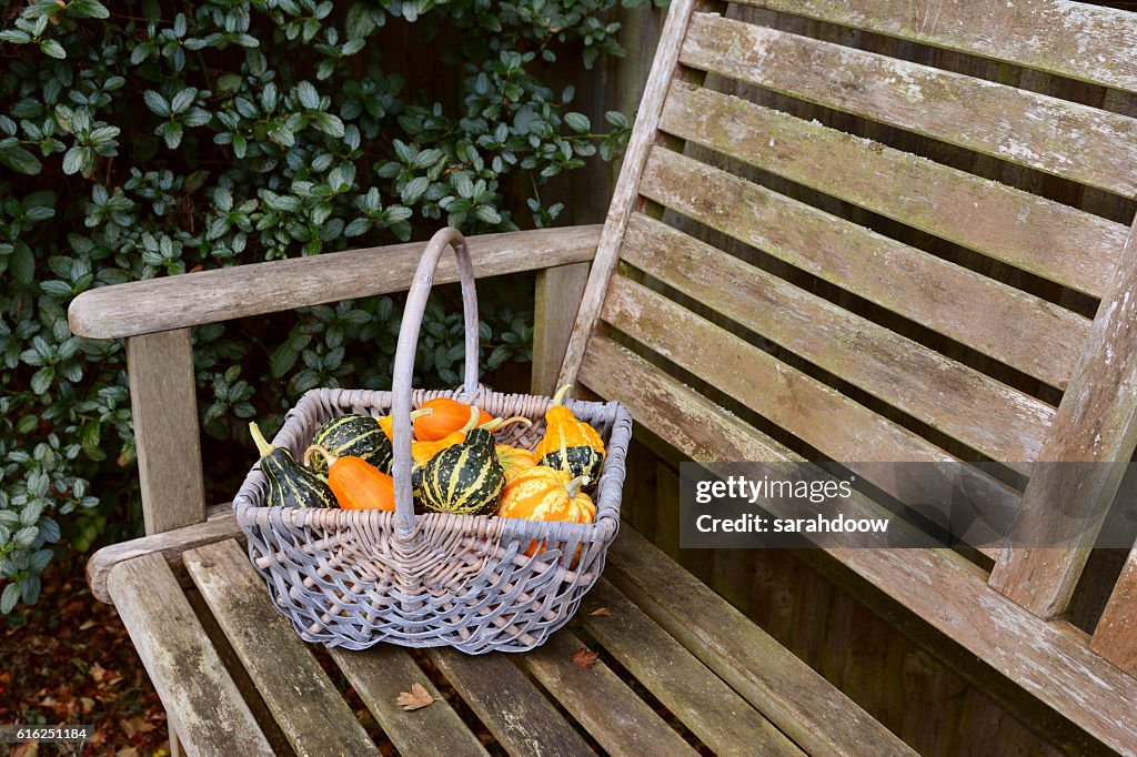 Cesta tejida llena de calabazas ornamentales naranjas, verdes y amarillas