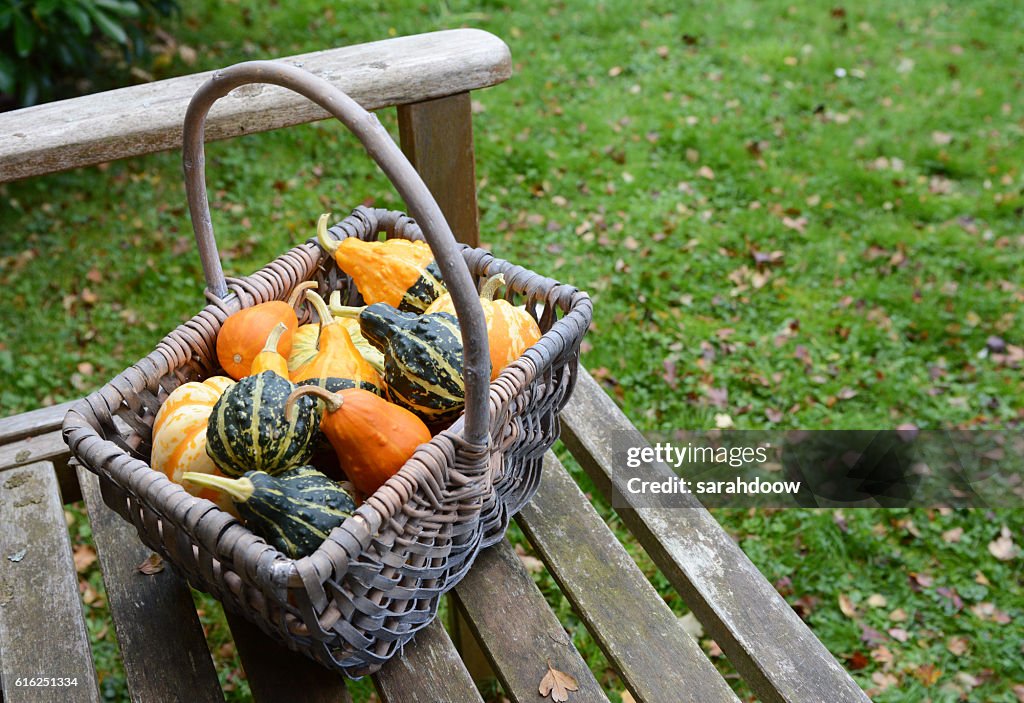 Rustic basket filled with a selection of ornamental gourds