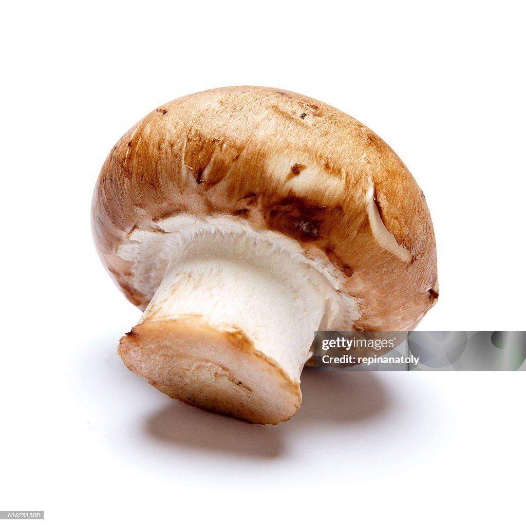 Champignon mushroom isolated on white