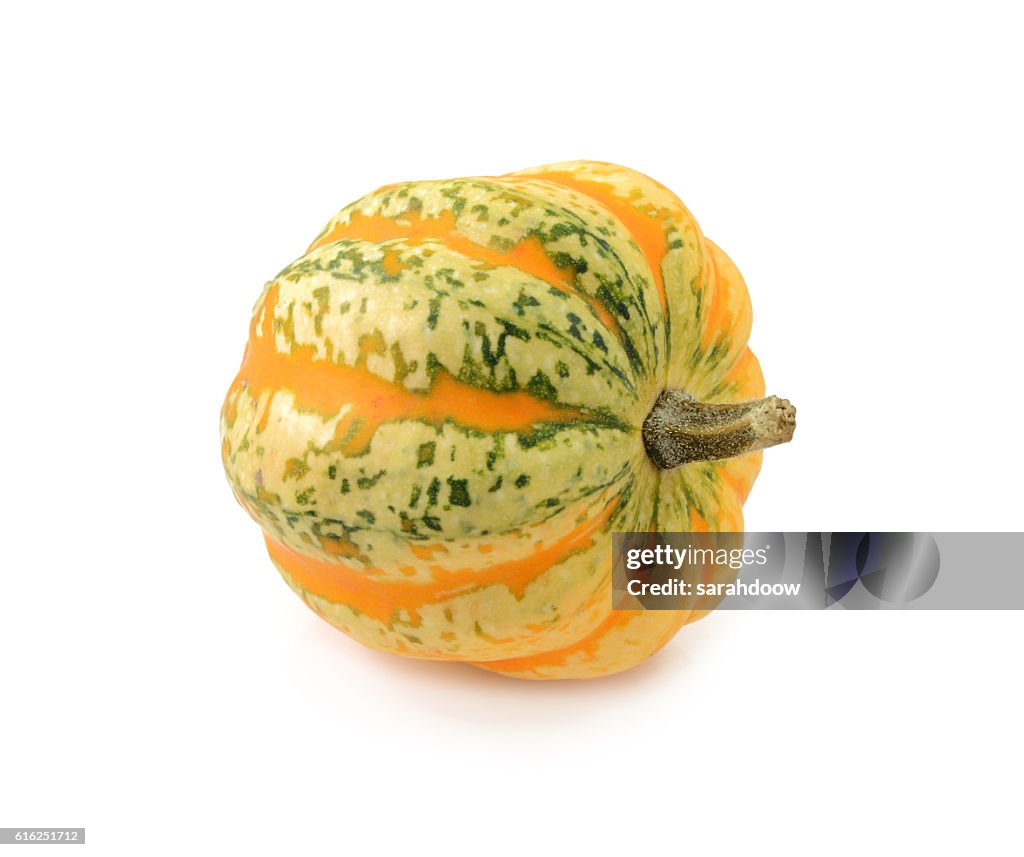 Green and yellow striped Festival squash