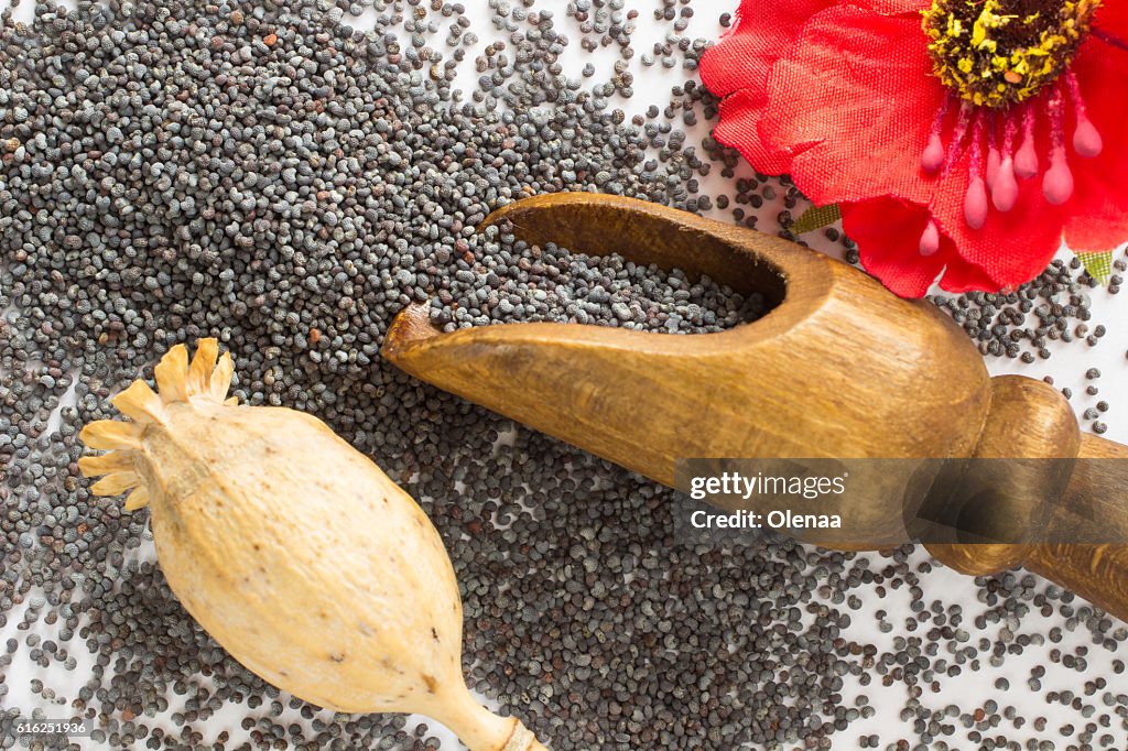 Têtes de pavot, grain de pavot et fleur sur blanc