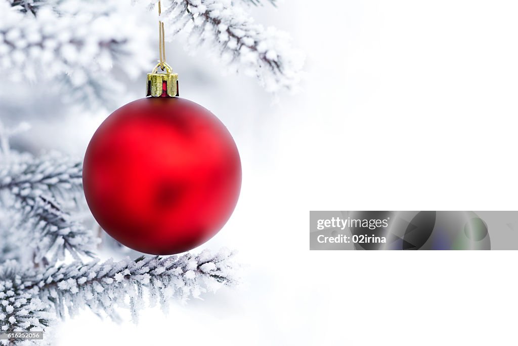 Christmas decorations on the pine branch