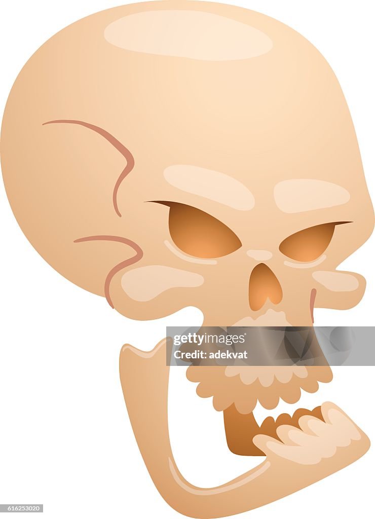 Skull face illustration isolated on white background.