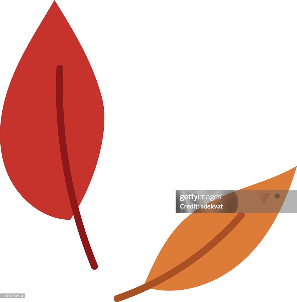 Autumn leaf vector illustration.